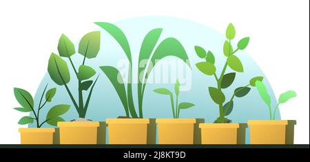Roots in box. Seedling garden plants. Sowing agricultural material. Vector. Stock Vector