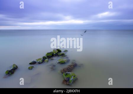 a long exposure of breakwaters in the north of the Netherlands Stock Photo