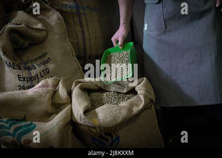 Male hands taking scoop of green unroasted coffee beans in burlap sack Stock Photo