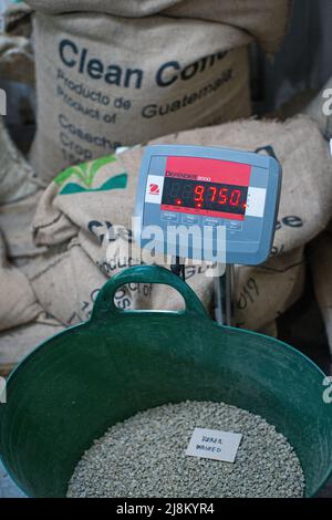 Electronic scales with numbers on screen and green coffee beans . Stock Photo