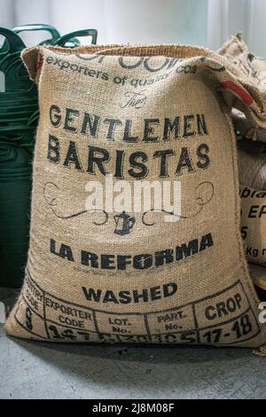 Green coffee beans in canvas sack Stock Photo