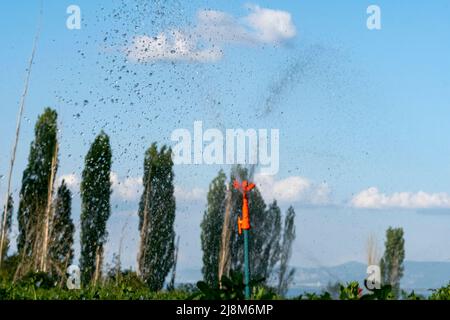 Cropped view of watering tool and splashing water drops, shot with selective focus. Stock Photo