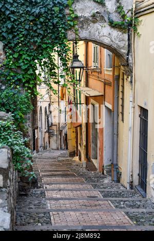 A typical uphill alley of the old town, called 'La Pigna' (the pine cone) for the characteristic shape of its streets and fortifications, Sanremo Stock Photo