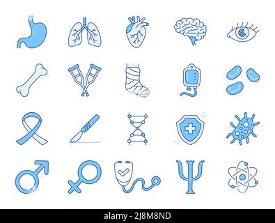 Medical specialization doodle illustration including icons - stomach, urology, heart, pulmonology, immunologist, therapist, psychologist. Thin line Stock Vector