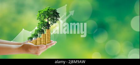 Businessman hand holding step of coins stacks with tree growing on top in nature green background. Money saving, investment, family planning, Stock Photo