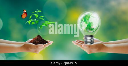 Hand holding tree and light bulb with world crystal glass inside. Butterfly on Sunny green grass bokeh background. Save clean planet, Save world. Stock Photo