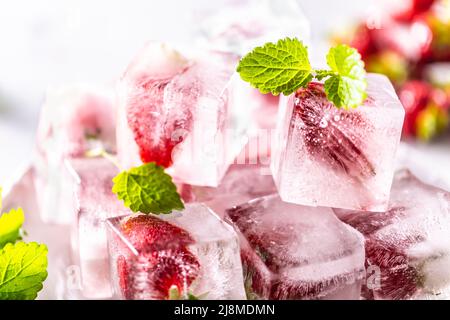 Strawberries frozen in ice cubes with mellisa leaves. Stock Photo