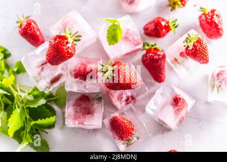 Strawberries frozen in ice cubes with mellisa leaves - Top of view. Stock Photo