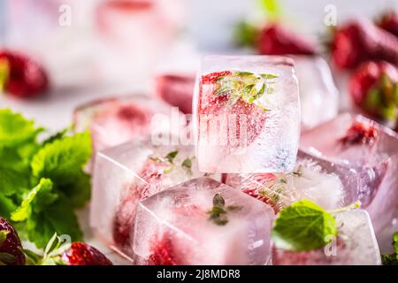 Fresh strawberries frozen in ice blocks with melissa leaves. Stock Photo