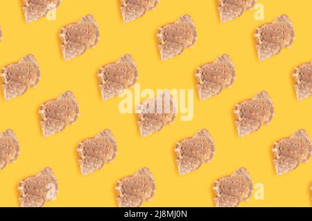 Repetitive pattern made from seashells. Creative layout on a yellow background. Summer concept. Stock Photo