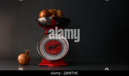 Onions in an old kitchen scale on a grey background . Stock Photo