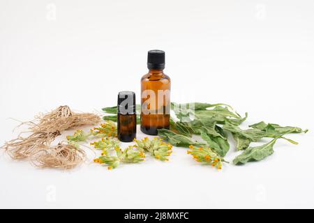 Dark glass bottles and dried root, leaf and flower of common cowslip, Primula veris, isolated on white background. Stock Photo