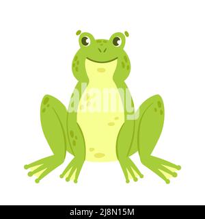 green frog in different pose. Vector illustration Stock Vector Image ...