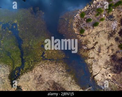 Aerial view from a drone flying above ponds and marshland wetlands with trees and brush Stock Photo