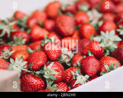 Big wooden box with ripe fresh strawberries background. Harvest close up Stock Photo