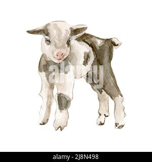 Cute farm animals Stock Photo