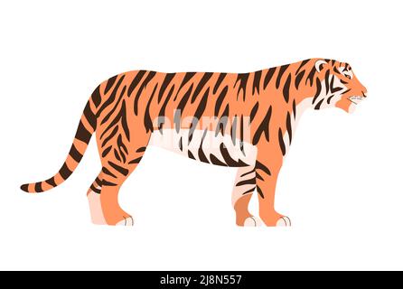 Bengal or Amur tiger. Big wild cat. Strong animal predator. Striped orange skin. Fauna and zoo. Flat vector illustration isolated on white background Stock Vector