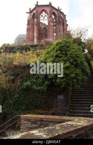 Sandstone ruins of Wernerkapelle at the top of a hill with stairs leading up above Bacharach, Germany on a fall day. Stock Photo