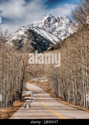 A road winds through groves of aspen trees on the way to the Maroon Bells in Colorado. Stock Photo