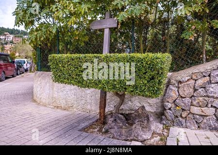 Close-up of wooden sign on bush against fence on sidewalk in city Stock Photo
