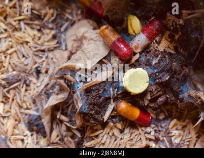Expired medicine used as fertilizer. Closeup view. Stock Photo