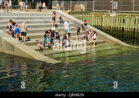 People enjoy the new steps to the ocean in the Halifax Harbour on hot summer day 2022. Stock Photo