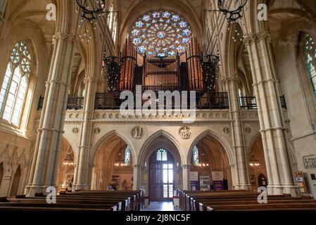 Interior view showing the organ and round stained glass window inside the Cathedral Church of Our Lady and St Philip Howard in Arundel, West Sussex, E Stock Photo