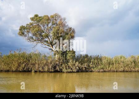 The Gudalhorce river at Natural Park Guadalhorce. Andalusia, Malaga, Spain. Stock Photo