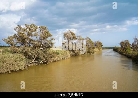 The Gudalhorce river at Natural Park Guadalhorce. Andalusia, Malaga, Spain. Stock Photo