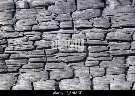 black texture of burnt wood Stock Photo