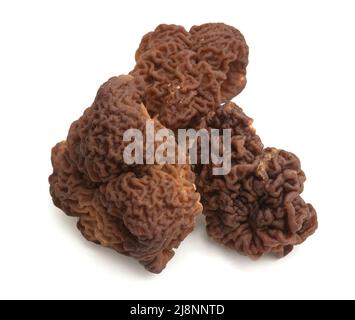 Bunch of spring conditionally edible mushrooms  (Gyromitra esculenta) on white background Stock Photo