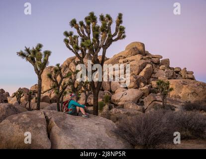 A woman sitting on the rocks and enjoying dusk in Joshua Tree National Park. Stock Photo