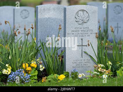 Commonwealth war graves in Ross Bay Cemetery in Victoria, British Columbia, Canada. Stock Photo
