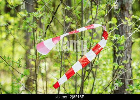 Red and white barrier tape on natural green background on branch in park. Stop barrier tape Stock Photo