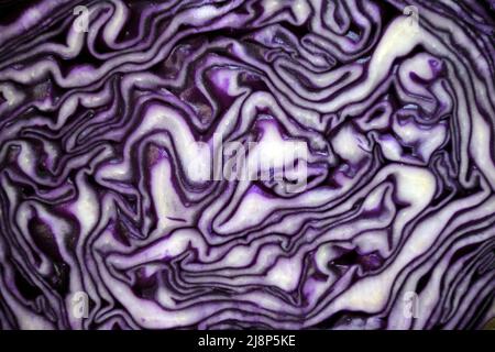 Background from a head of purple cabbage in a section close-up for the whole frame Stock Photo