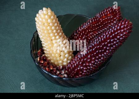 Three cobs of popcorn of different colors in a plate on a green background Stock Photo
