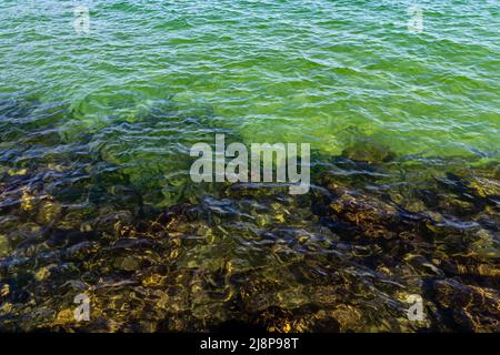 Calm seashore with rocks seen through the green sea water Stock Photo
