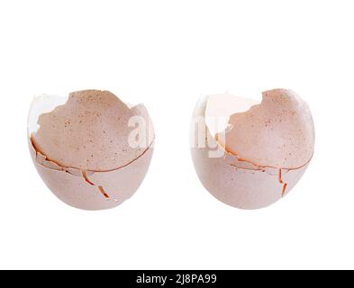 broken eggs with a cracked shell, part of a cracked brown bird's egg isolated on a white background. Stock Photo