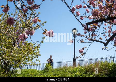 The Stephanie and Fred Shuman Running Track in Central Park is beautiful on a Sunny Spring Day, NYC, USA  2022 Stock Photo
