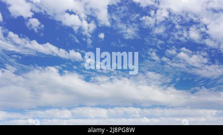 White cumulus clouds down to horizon on sunny day, suitable for background or sky substitution Stock Photo