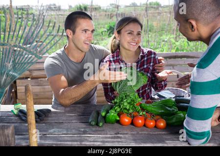 Good friends have conversation at table in the backyard Stock Photo