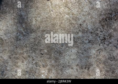 The background of the old concrete gray path on which you can see the shadow of the leaves of the trees. Stock Photo