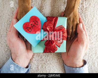 Dog paws, male hands and gift box Stock Photo
