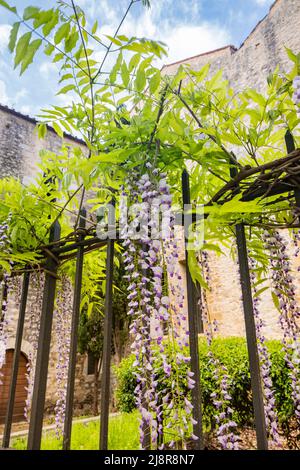 Priverno, Latina, Lazio, Italy - The Fossanova Abbey. The ancient buildings of the small medieval village built around the monastery. The garden with Stock Photo