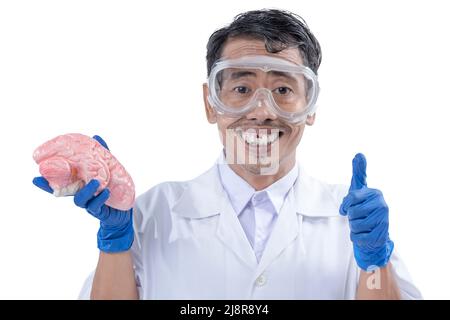 Asian nerd scientist standing and showing thumb up while holding human brain isolated over white background Stock Photo