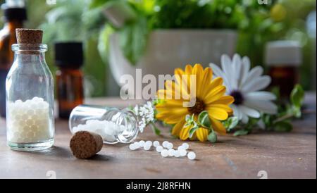 Homeopathy pharmacy, herbal, natural medicine. Homeopathic globules scattered out of a glass bottle, fresh herb, green nature background. Alternative Stock Photo