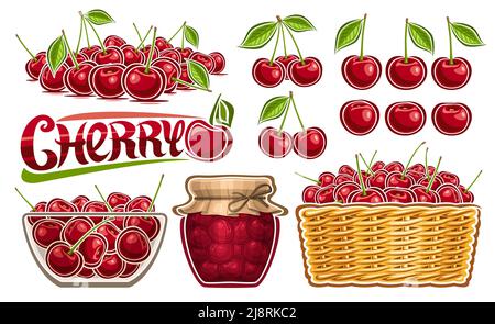 Vector Cherry Set, lot collection of cut out illustrations cherry still life with green leaves, group of ripe cartoon design berries in glass dish, fu Stock Vector