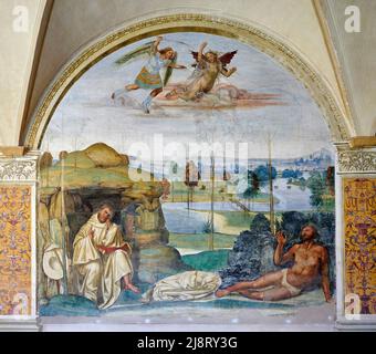 Storie di San Benedetto - Il Santo supera la tentazione   - affresco - Sodoma - 1505  - Monte Oliveto Maggiore (Si) ,Italia, Abbazia Olivetana Stock Photo