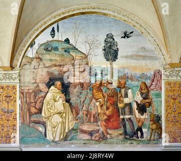 Storie di San Benedetto - Il Santo ammaestra i contadini   - affresco - Sodoma - 1505  - Monte Oliveto Maggiore (Si) ,Italia, Abbazia Olivetana Stock Photo