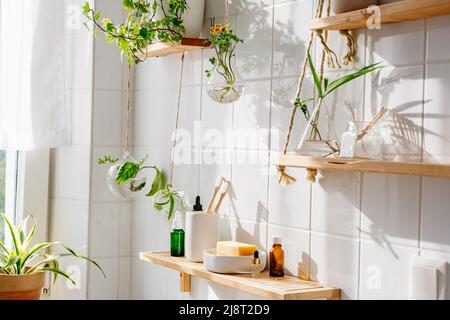 Wooden shelves with cosmetics and toiletries against white tile wall with biophilic and eco friendly design. Hanging glass pots with green plants Stock Photo